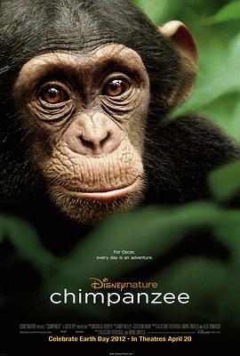 妇女与黑猩猩性交电影