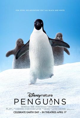 企鹅和男孩动画片