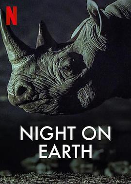 地球的夜晚3电影完整版