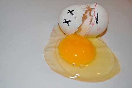 最新鸡蛋价格中国禽病网
