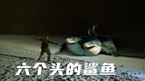 夺命六头鲨在线观看国语